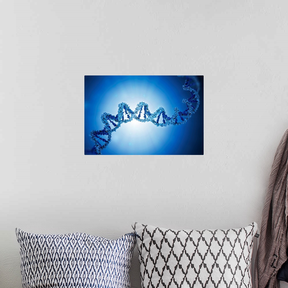 A bohemian room featuring Deoxyribonucleic acid (DNA), computer illustration.