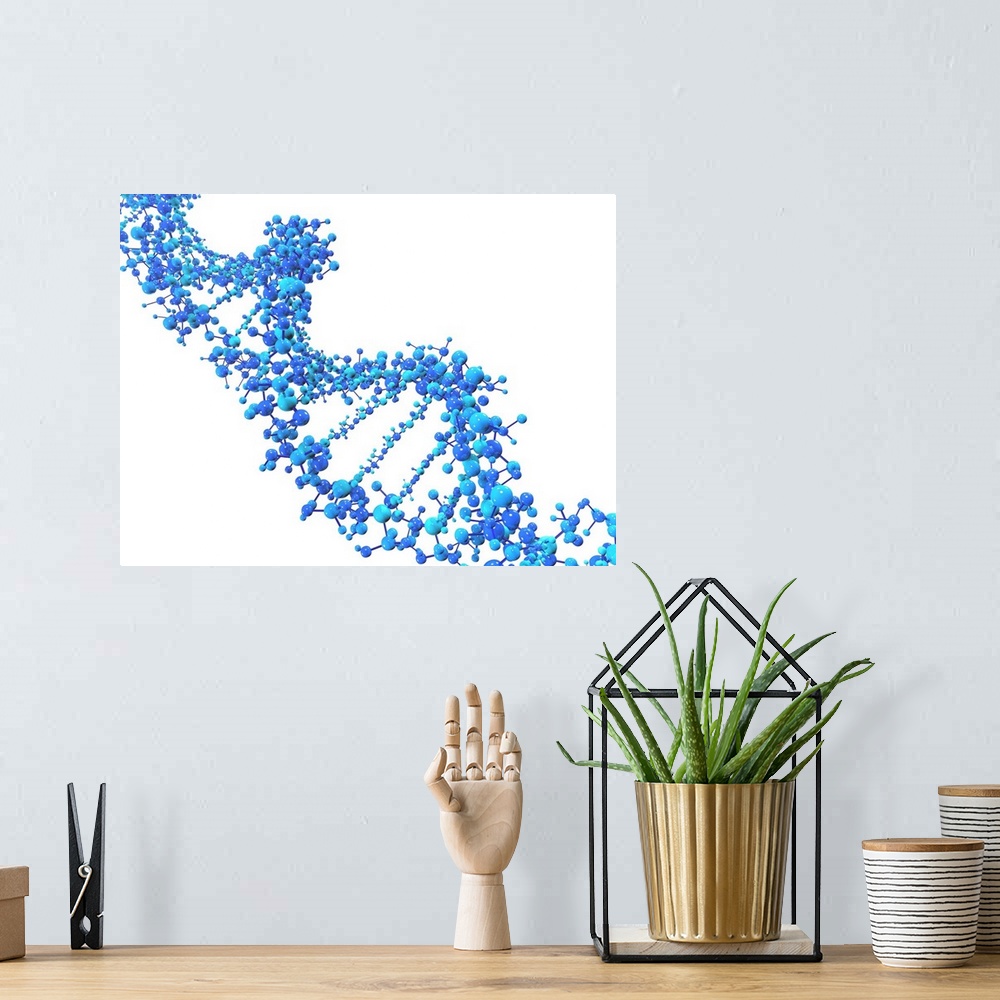 A bohemian room featuring Computer artwork of a DNA (Deoxyribonucleic acid) strand, made of spheres.