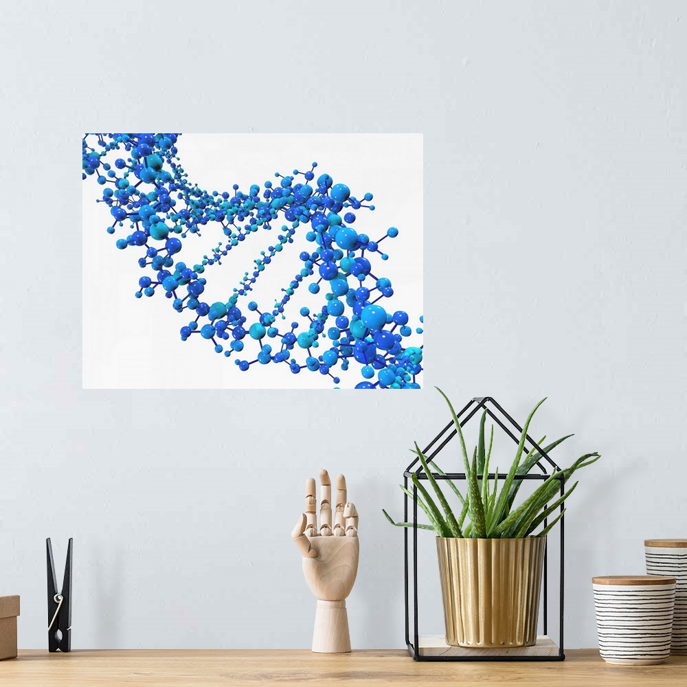 A bohemian room featuring Computer artwork of a DNA (Deoxyribonucleic acid) strand, made of spheres.