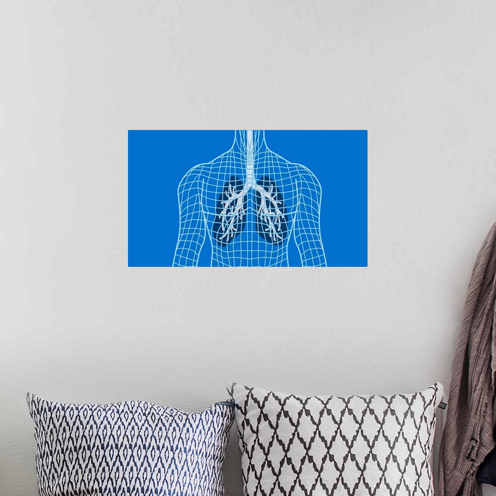 A bohemian room featuring Lungs in a wireframe body, computer artwork. The windpipe (trachea, grey) runs downwards from the...