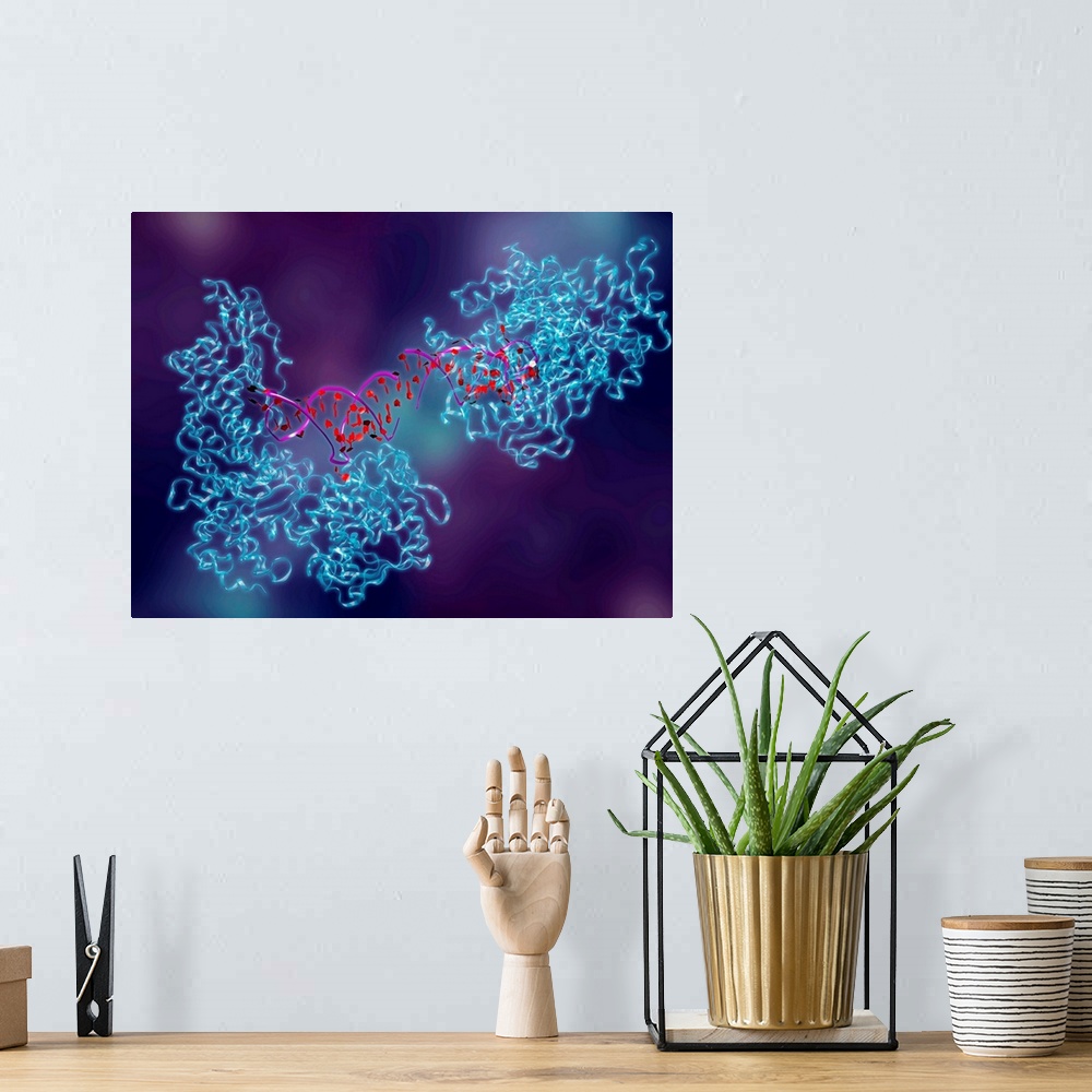 A bohemian room featuring Metabolic enzyme. Computer artwork of aconitase (blue), in complex with ferritin messenger ribonu...