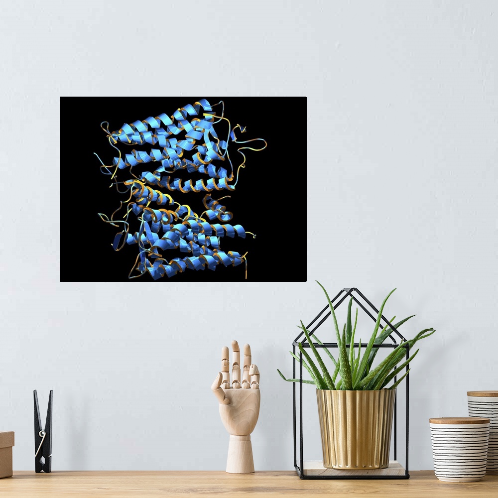 A bohemian room featuring Rhodopsin protein molecule. Computer model of a molecule of the protein opsin that forms part of ...