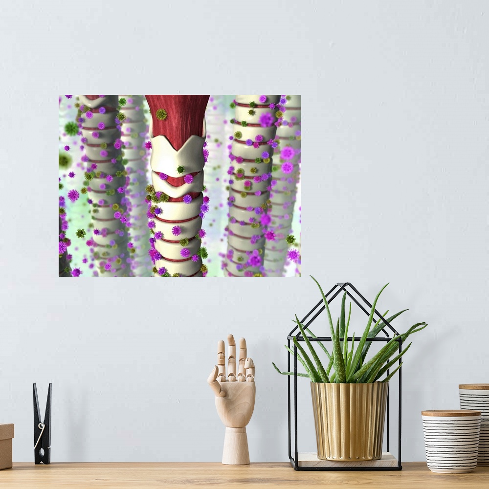 A bohemian room featuring Viral throat infection. Artwork of several tracheae (windpipes) being infected by viruses (spiky ...