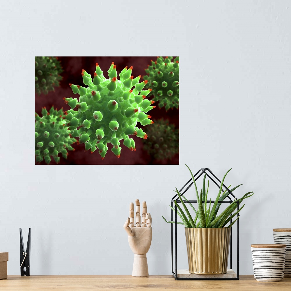 A bohemian room featuring Virus particles, computer artwork. The spikes (red-tipped) on the virus particles are surface pro...