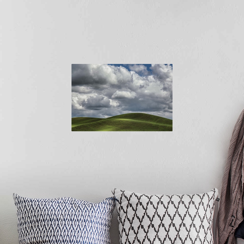 A bohemian room featuring Beautiful clouds over the green wheatfields of the Palouse, Washington