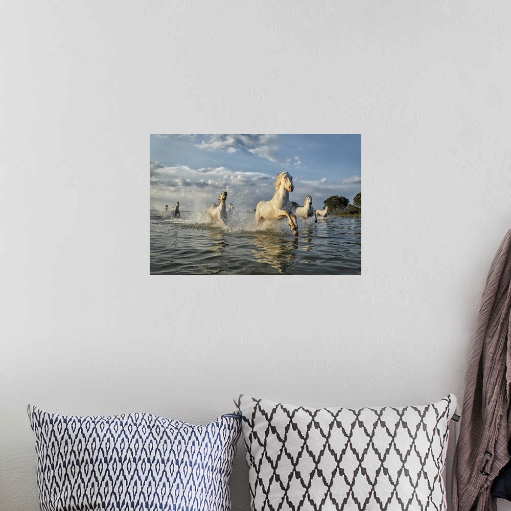 A bohemian room featuring The white horses of the Camargue on the beach in the south of France.