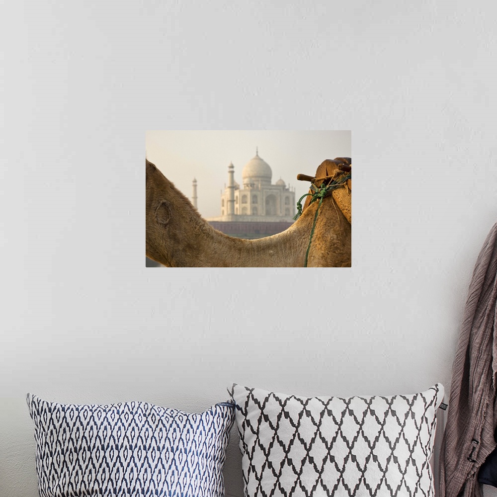 A bohemian room featuring India Camel at the Taj