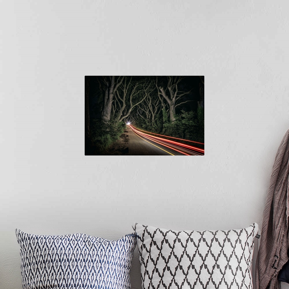 A bohemian room featuring Car trails in the Dark Hedges of Northern Ireland.
