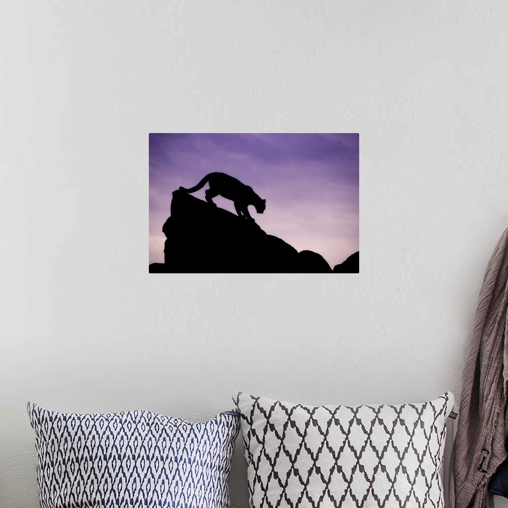 A bohemian room featuring Mountain Lion silhouette, Yosemite National Park, California