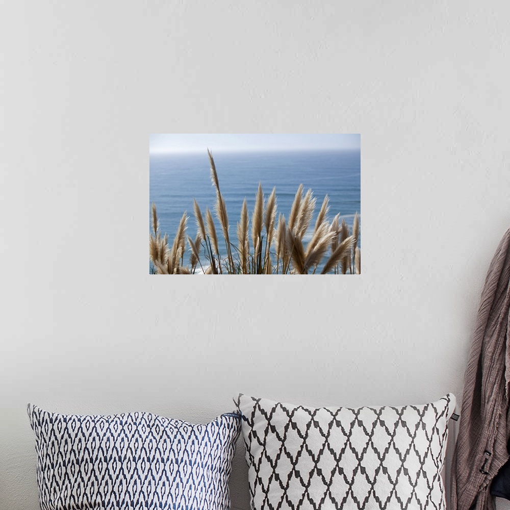 A bohemian room featuring Pampas Grass Above the Ocean, Big Sur, California