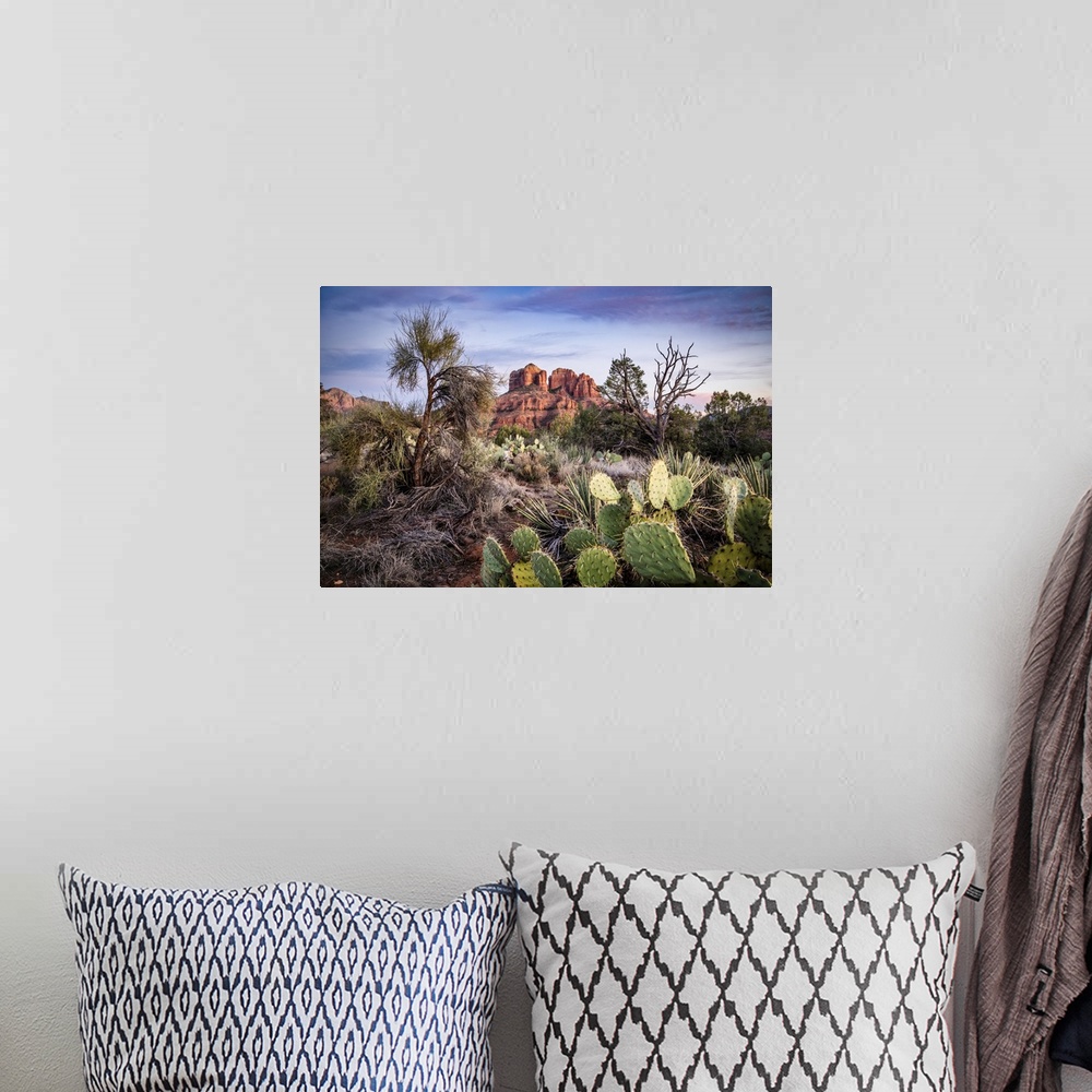A bohemian room featuring Sunset over Cathedral Rock in Sedona, Arizona.