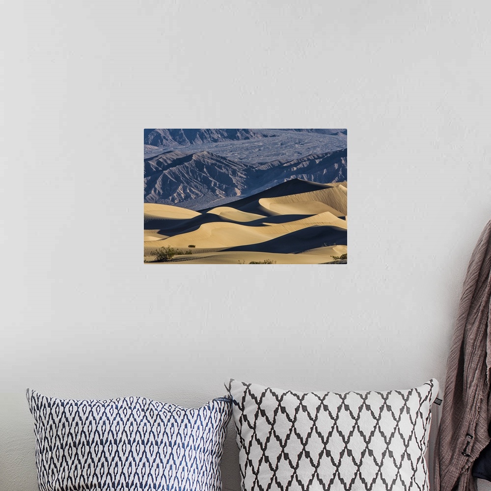 A bohemian room featuring The amazing Mesquite Sand Dunes at Death Valley National Park