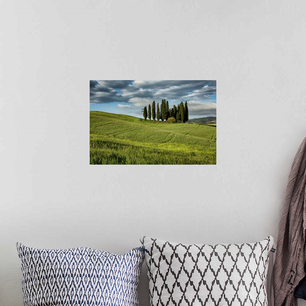 A bohemian room featuring The trees of Val D'Orcia in Tuscany.