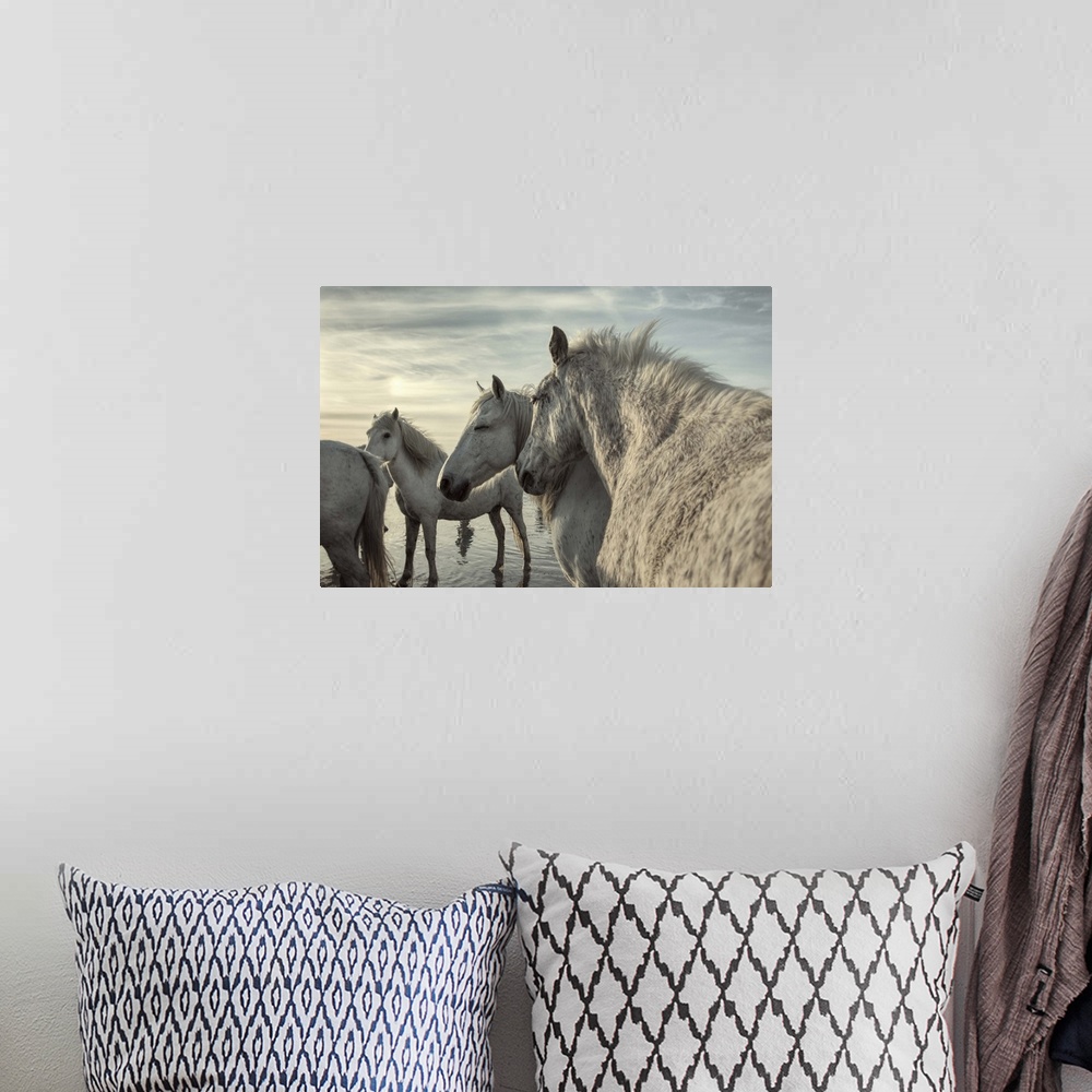 A bohemian room featuring The White Horses of the Camargue by the water in the South of France.