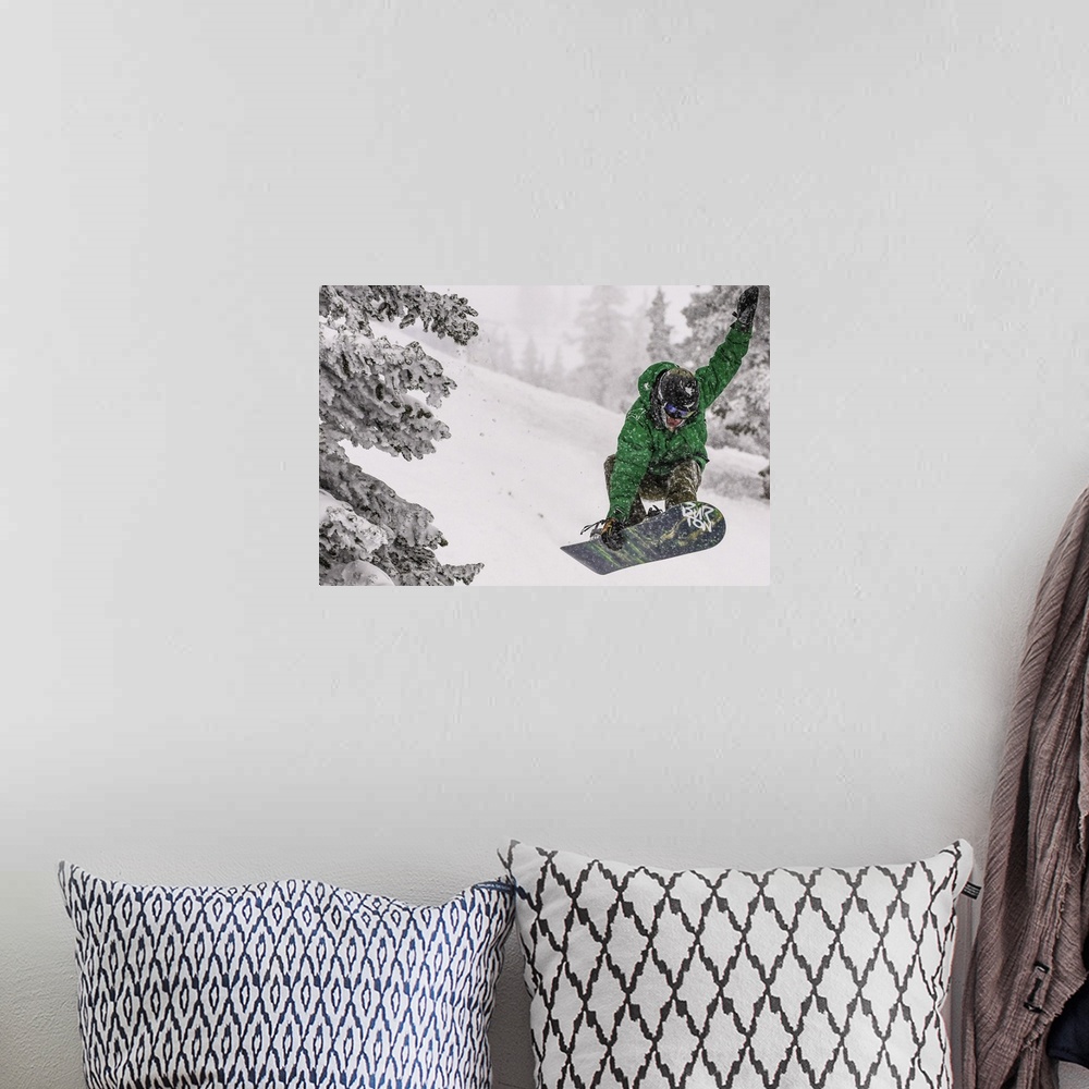 A bohemian room featuring Action shot of a snowboarding doing and Indy during snowfall on the Wasatch Range.