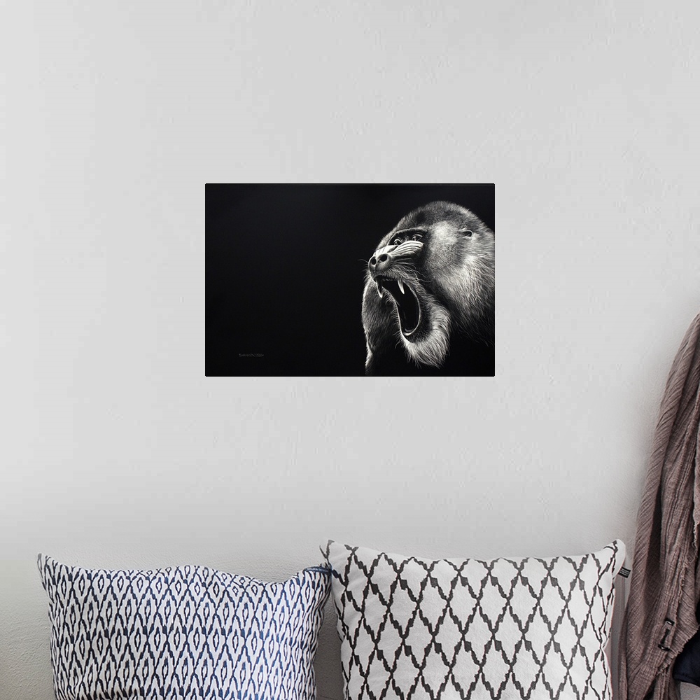 A bohemian room featuring This scratchboard of this growling Mandrill who was warning his intruder. The eyes and his soft f...