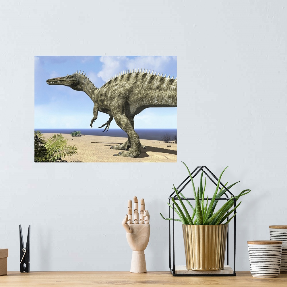 A bohemian room featuring 12 feet tall and weighing five tons, a carnivorous Suchomimus wanders a beach on the ancient Teth...