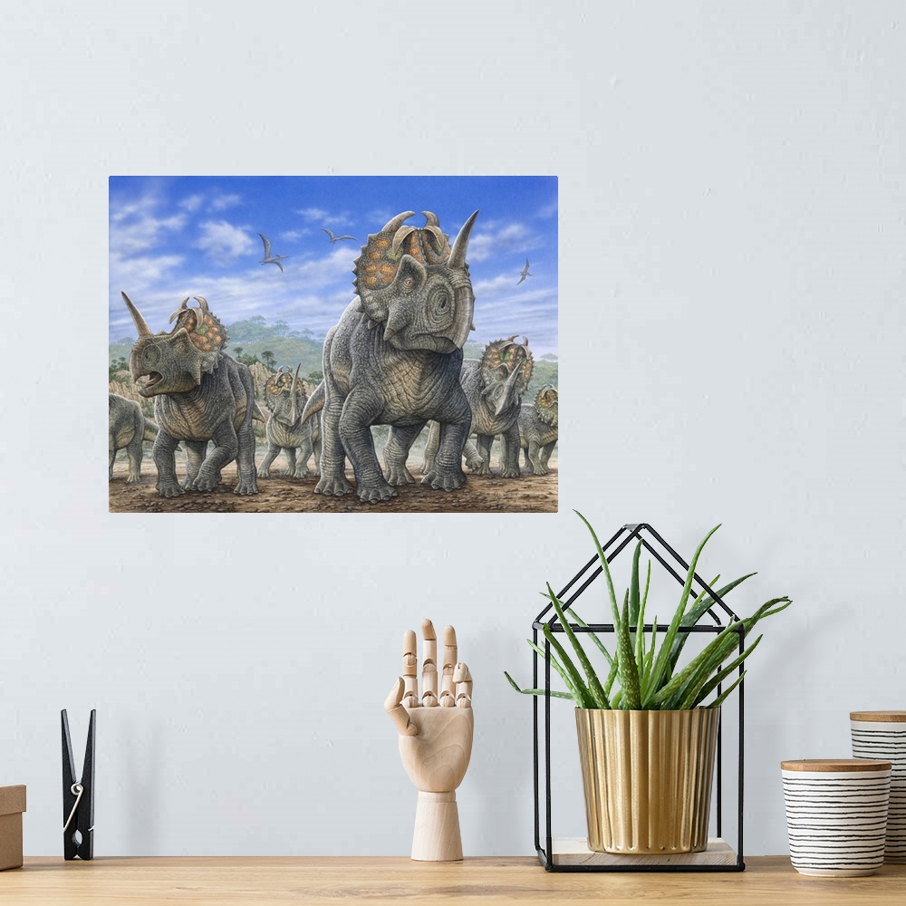 A bohemian room featuring A herd of Centrosaurus dinosaurs.
