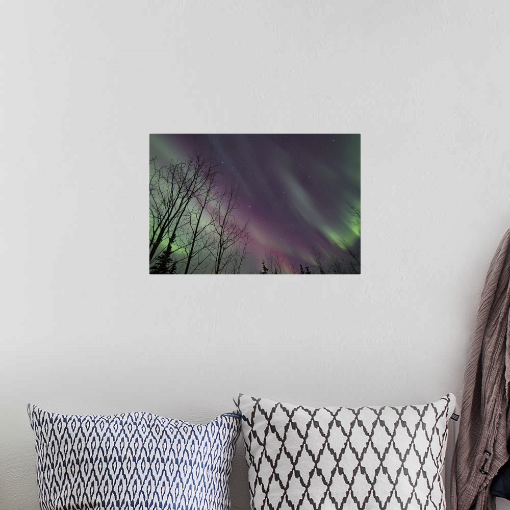 A bohemian room featuring Aurora borealis with trees, Whitehorse, Yukon, Canada.