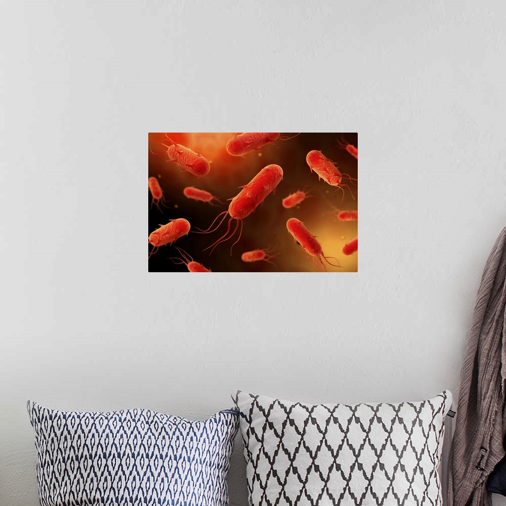 A bohemian room featuring Conceptual image of flagellate bacterium.