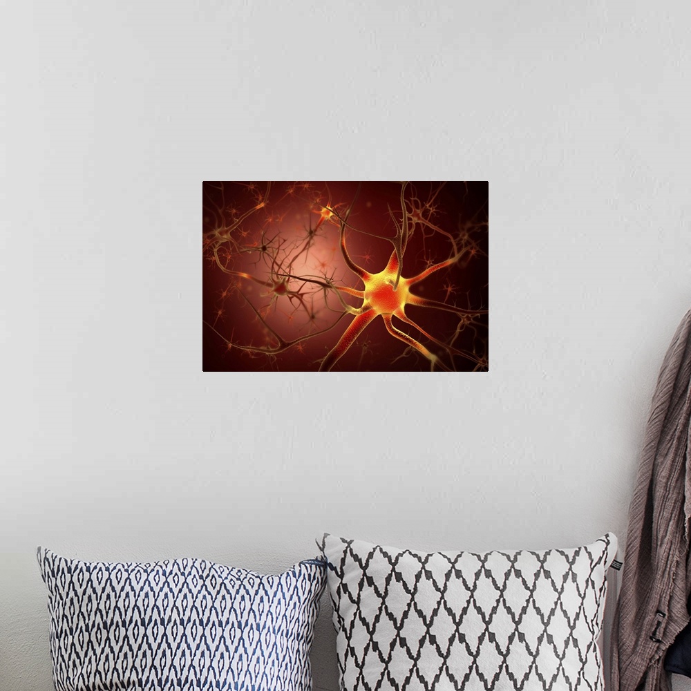 A bohemian room featuring Conceptual image of neuron.