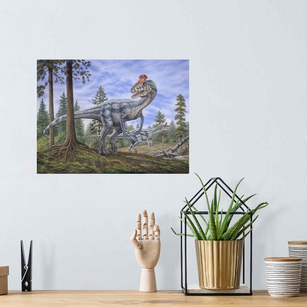 A bohemian room featuring Cryolophosaurus dinosaurs hunting for prey in a prehistoric environment.