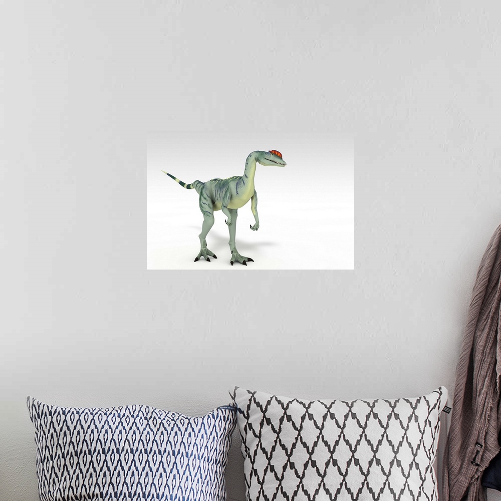 A bohemian room featuring Dilophosaurus dinosaur, white background.