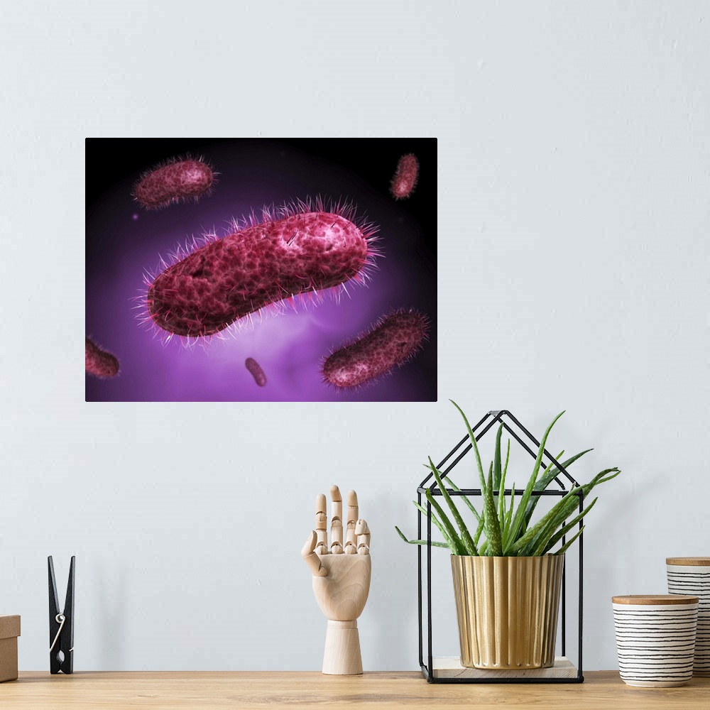 A bohemian room featuring Microscopic view of bacteria.