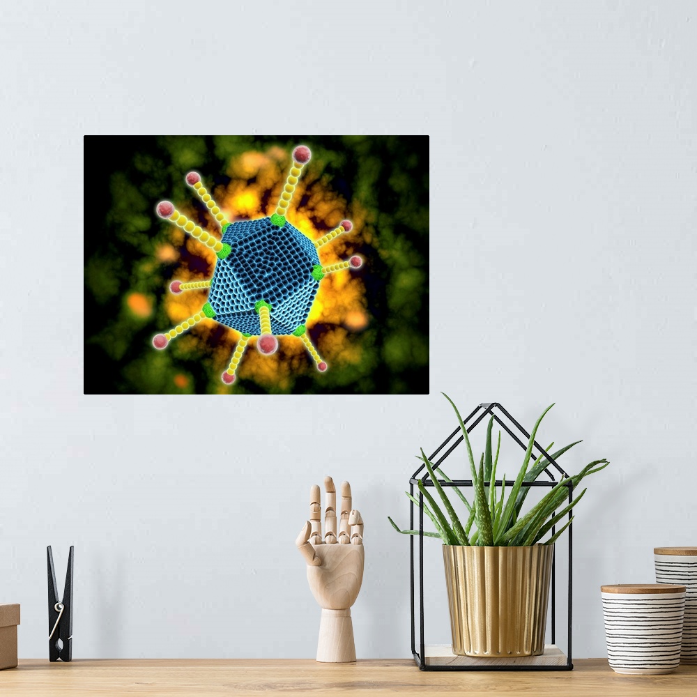 A bohemian room featuring Conceptual image of the common cold virus. The common cold virus is an infectious disease typical...