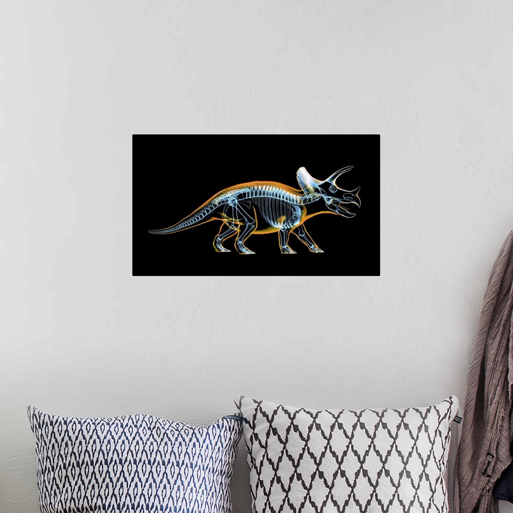 A bohemian room featuring Triceratops skeleton with x-ray effect.