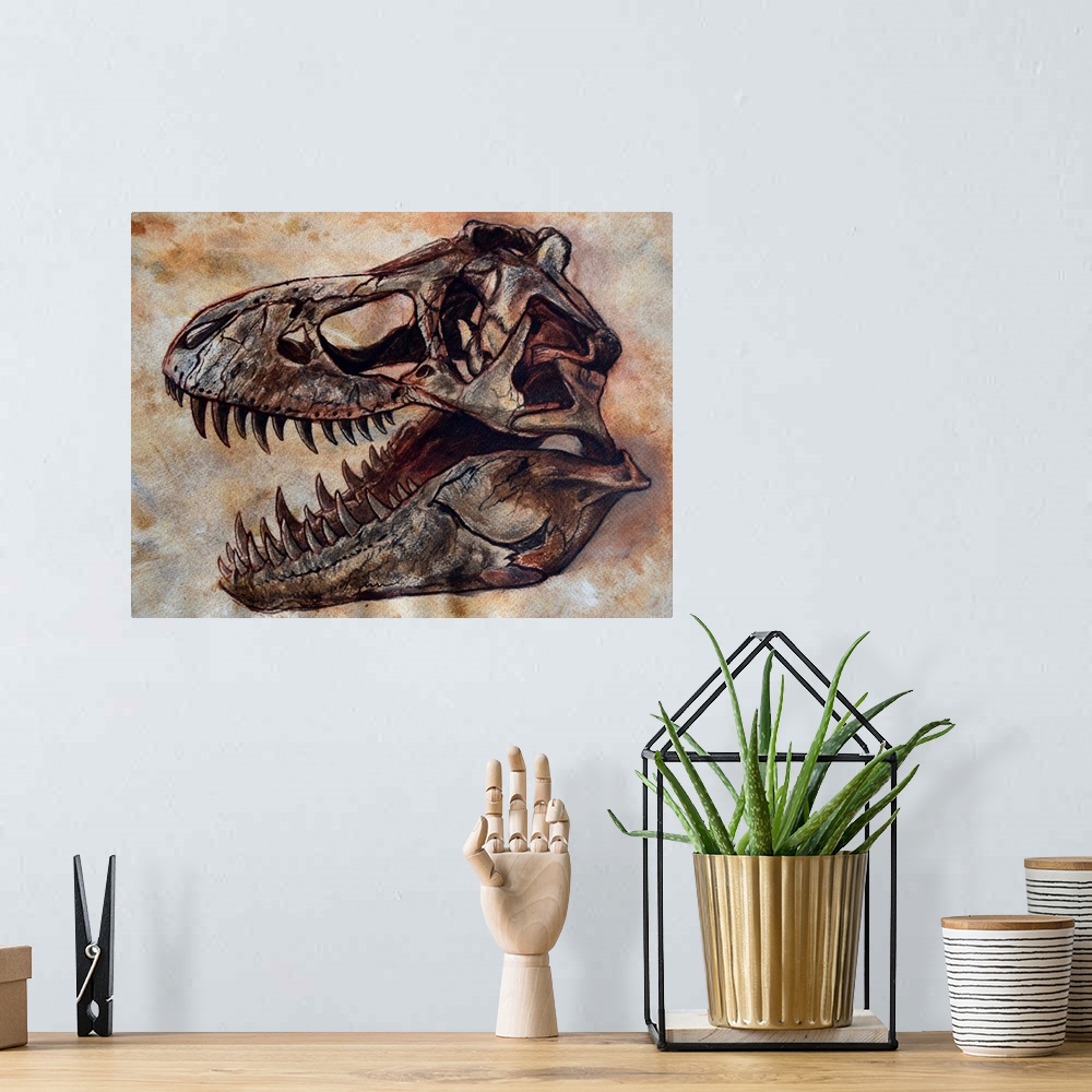 A bohemian room featuring Tyrannosaurus rex dinosaur skull on textured background.