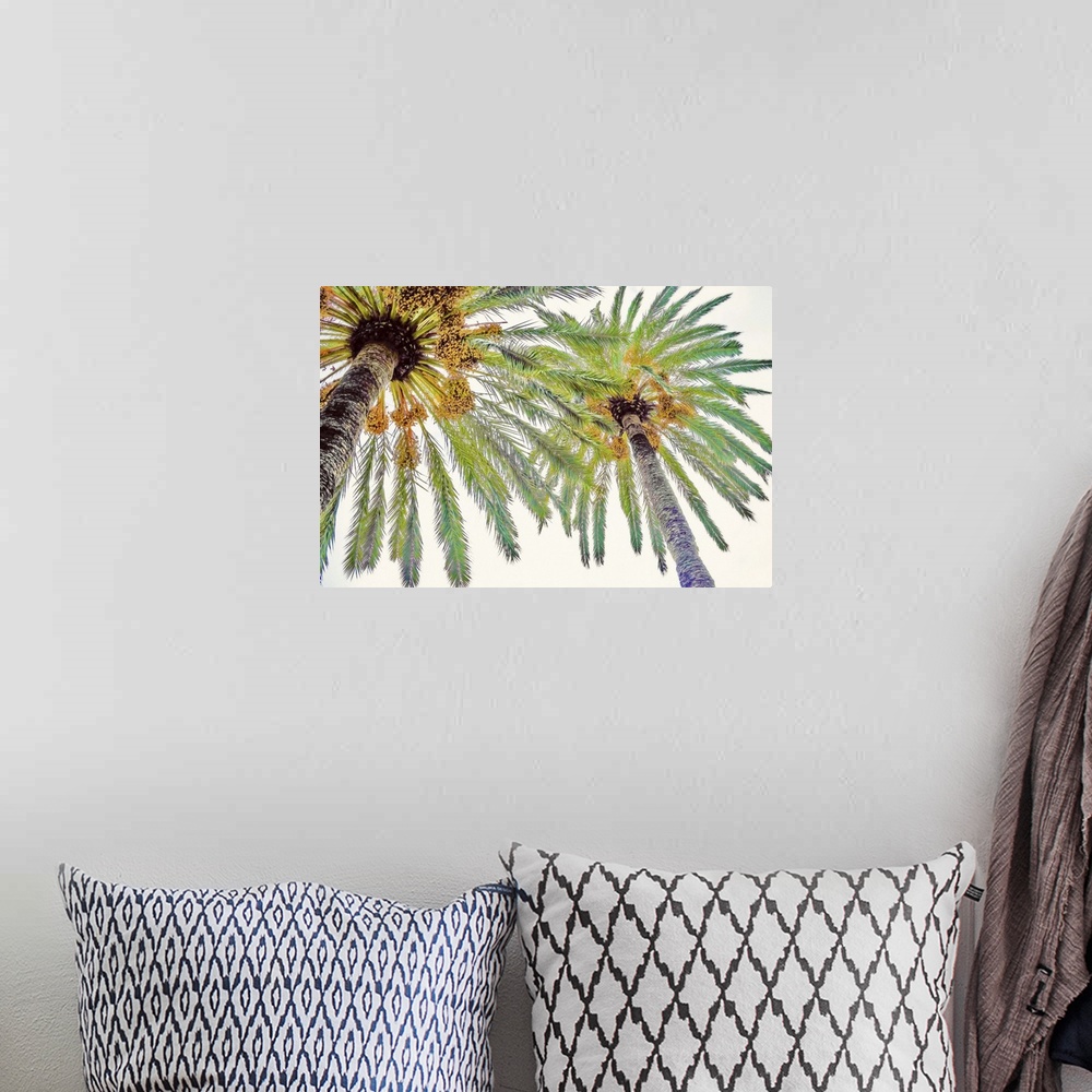A bohemian room featuring View from below of the tops of two palm trees with leafy fronds.