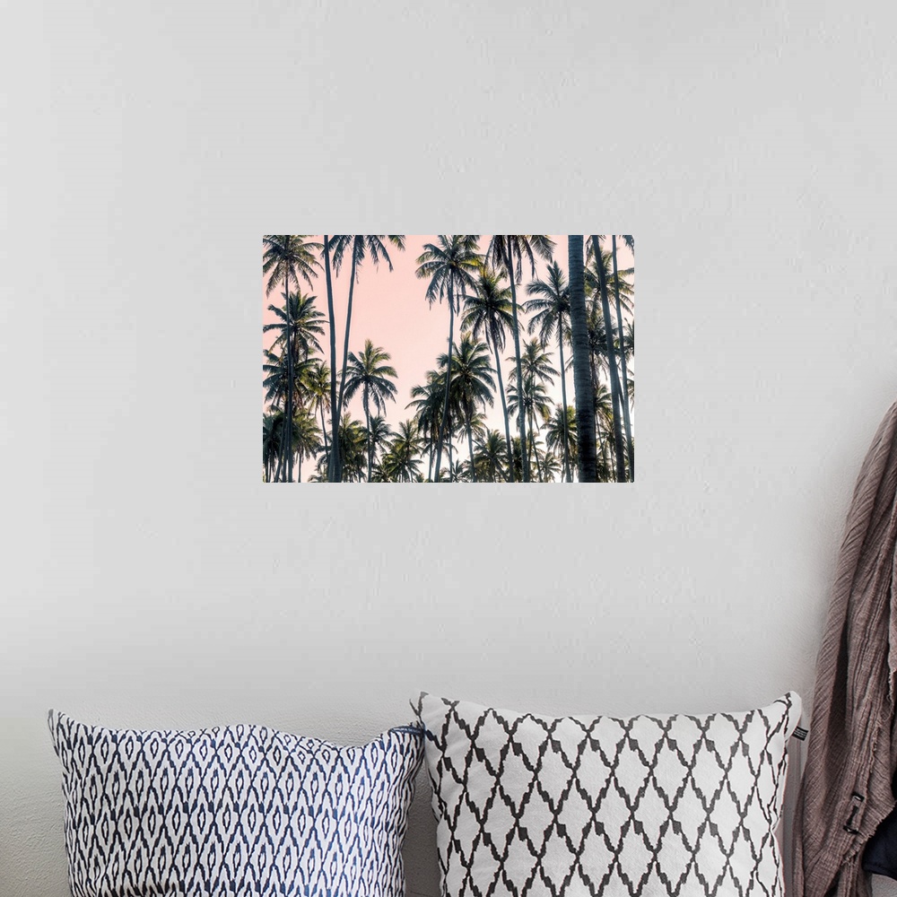 A bohemian room featuring Palms View On Pink Sky II