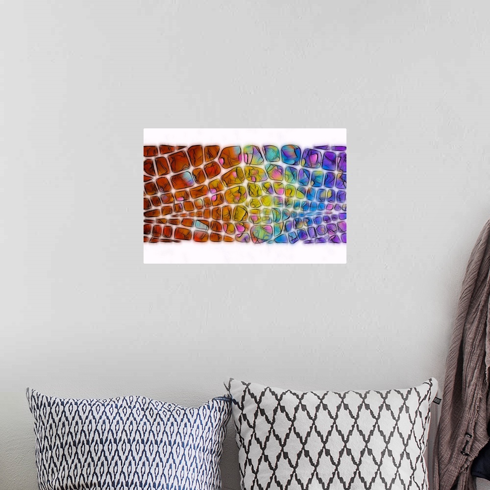 A bohemian room featuring Digital illustration of a rainbow scale pattern with black outlines on a white background.