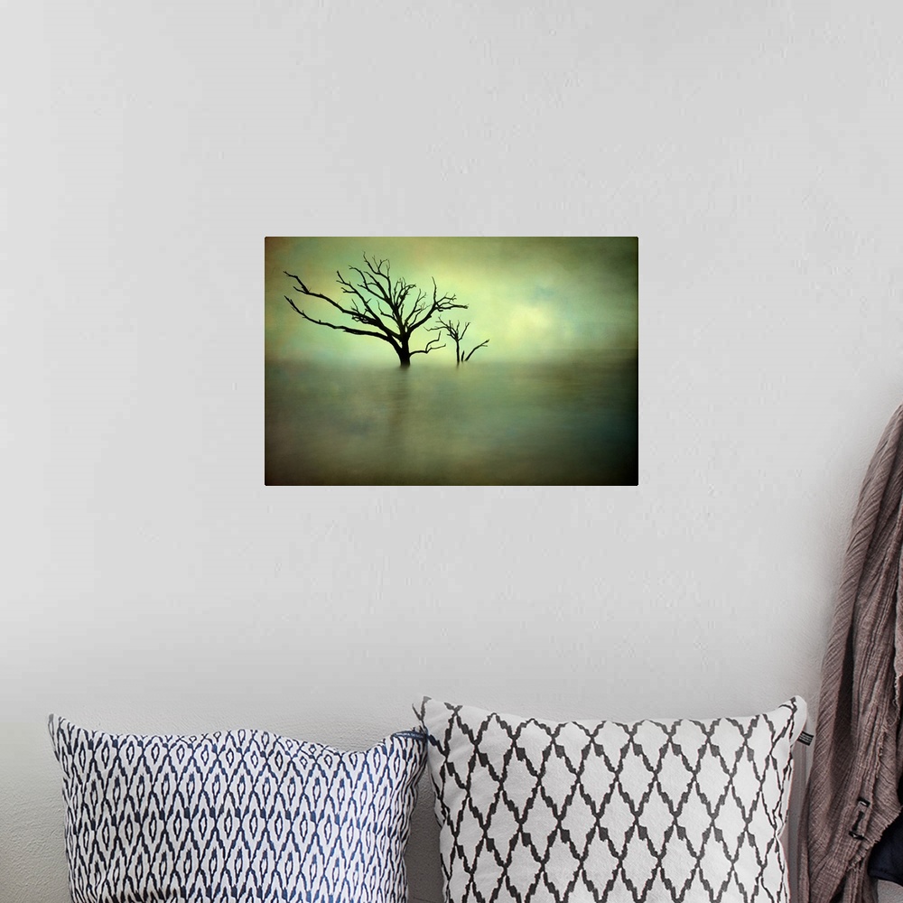 A bohemian room featuring Two bare trees growing out of the ocean off the South Carolina coast, with a green hue.