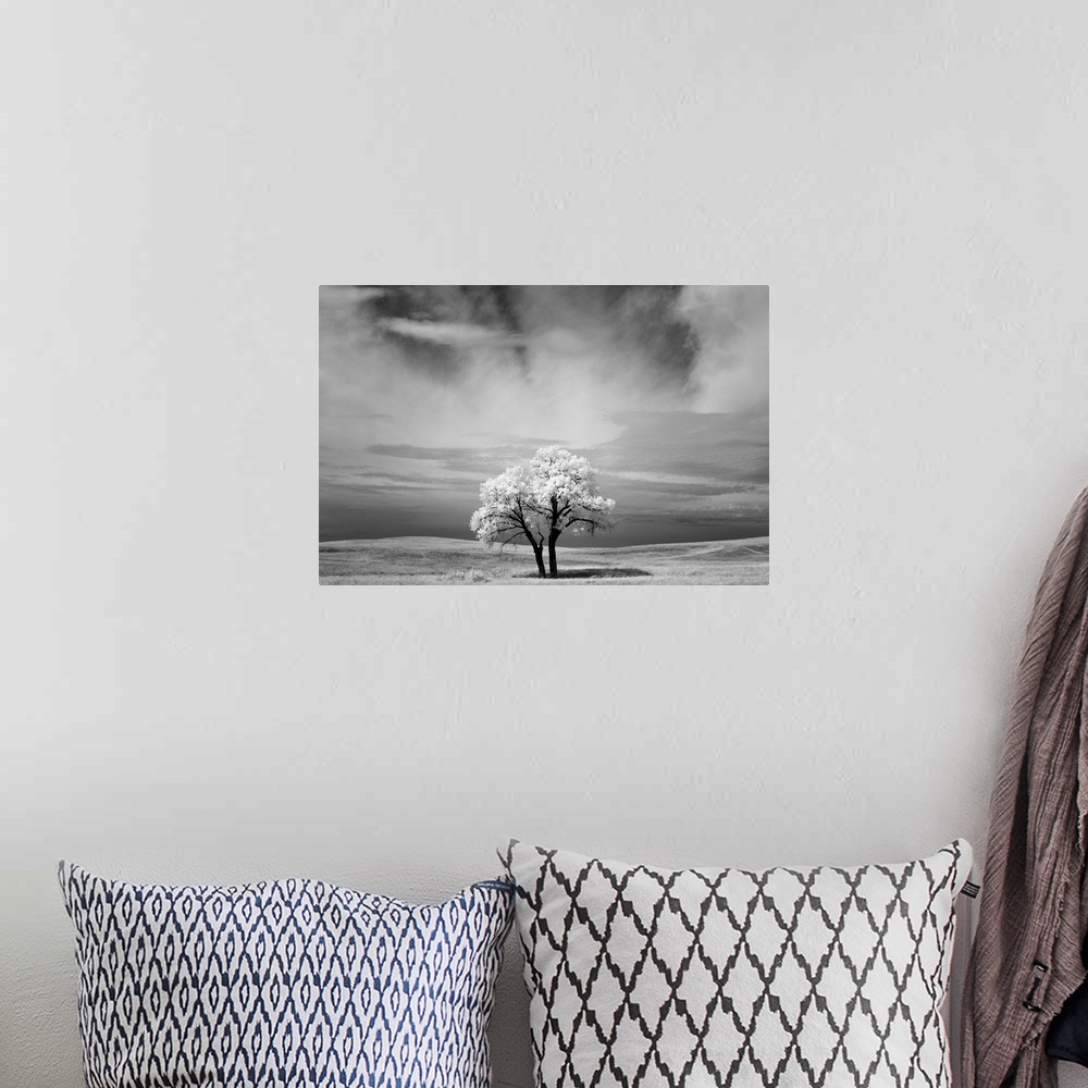 A bohemian room featuring Infrared image of a tree under a cloudy sky in the Badlands, South Dakota.