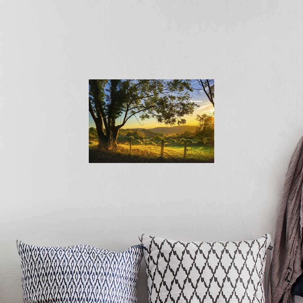 A bohemian room featuring The South Downs in West Sussex at dusk with yellow light cast across farm fields with ancient hed...