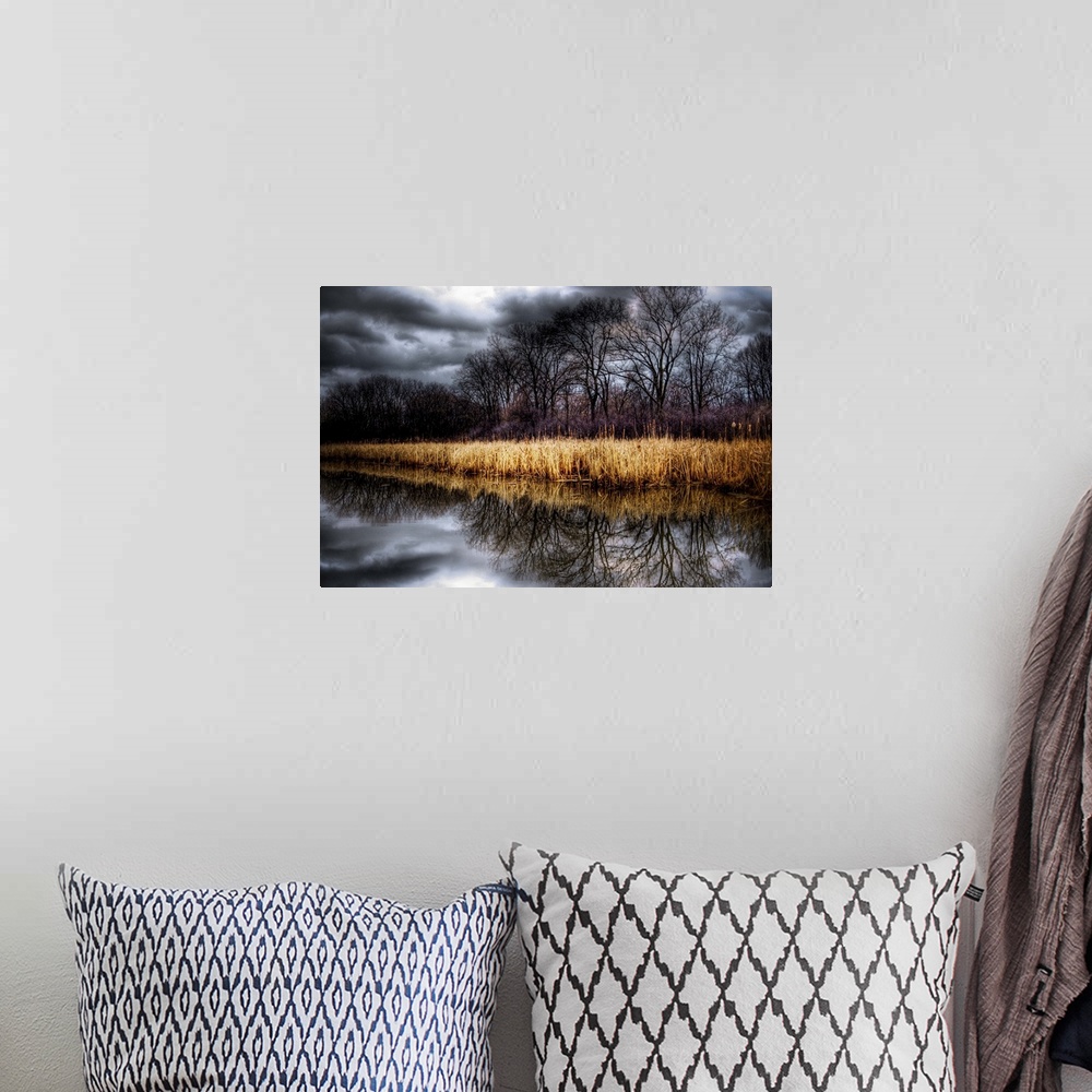 A bohemian room featuring Stormy grey skies reflected in a lake with reeds and trees
