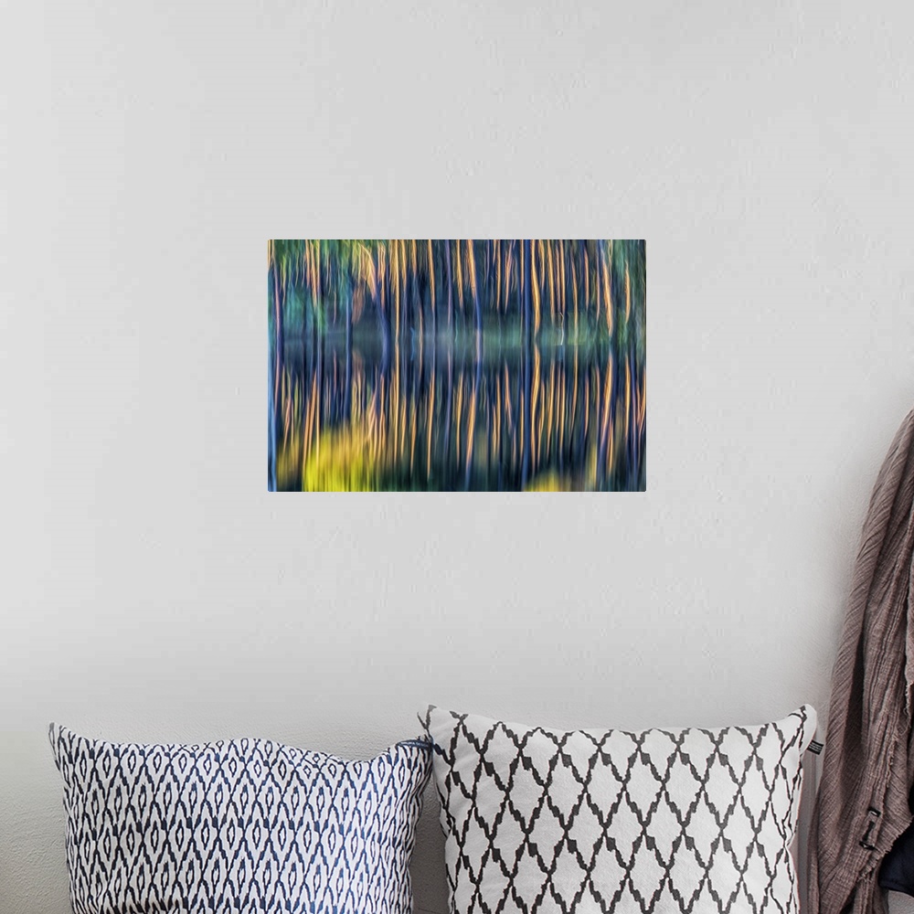 A bohemian room featuring Long exposure shot of pine trunks reflected on a pond.
