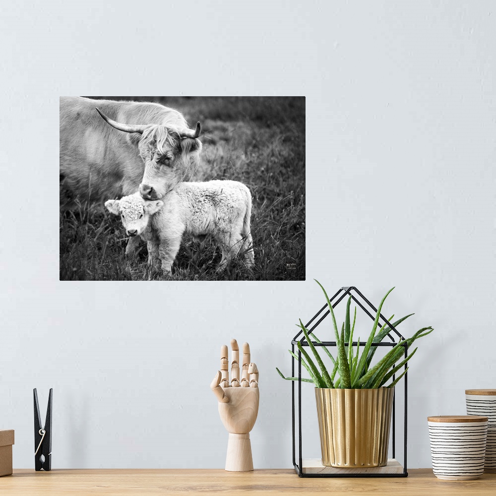 A bohemian room featuring Cow Care Crop