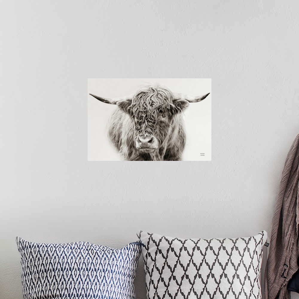A bohemian room featuring A fine art photograph in black and white of a highland cow against a grey background. The texture...