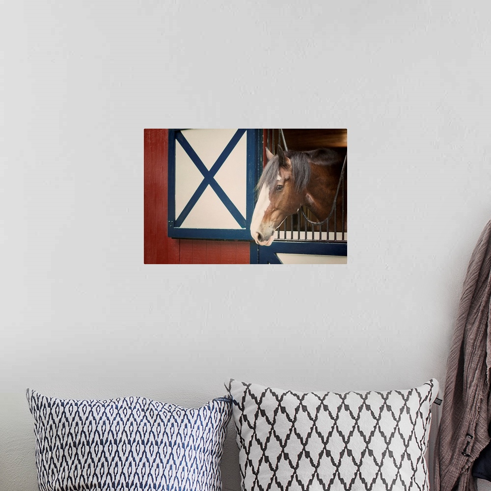 A bohemian room featuring Patriotic Pony I Crop
