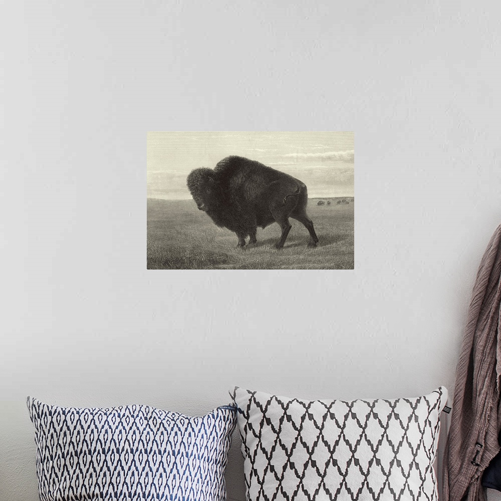 A bohemian room featuring American Bison