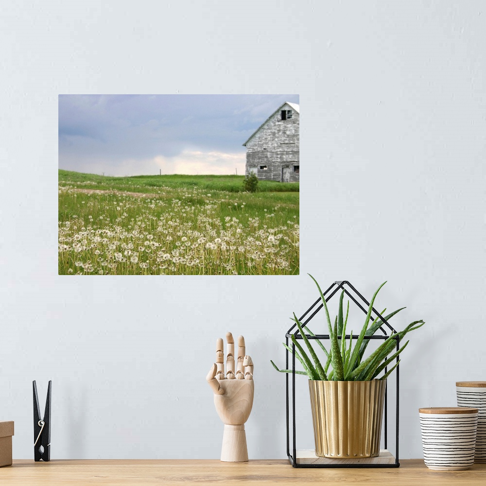 A bohemian room featuring Barn Scape II