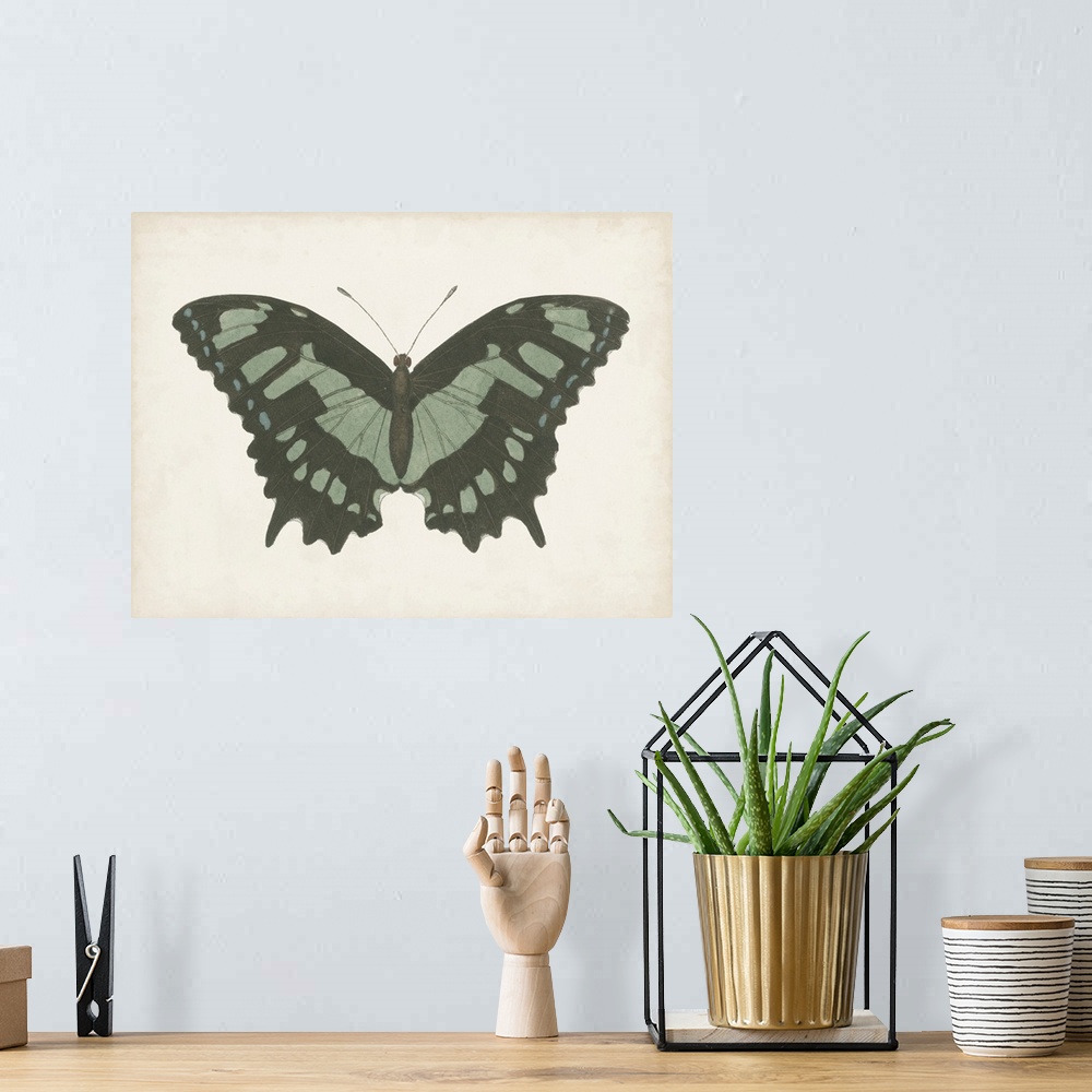 A bohemian room featuring Beautiful Butterfly II