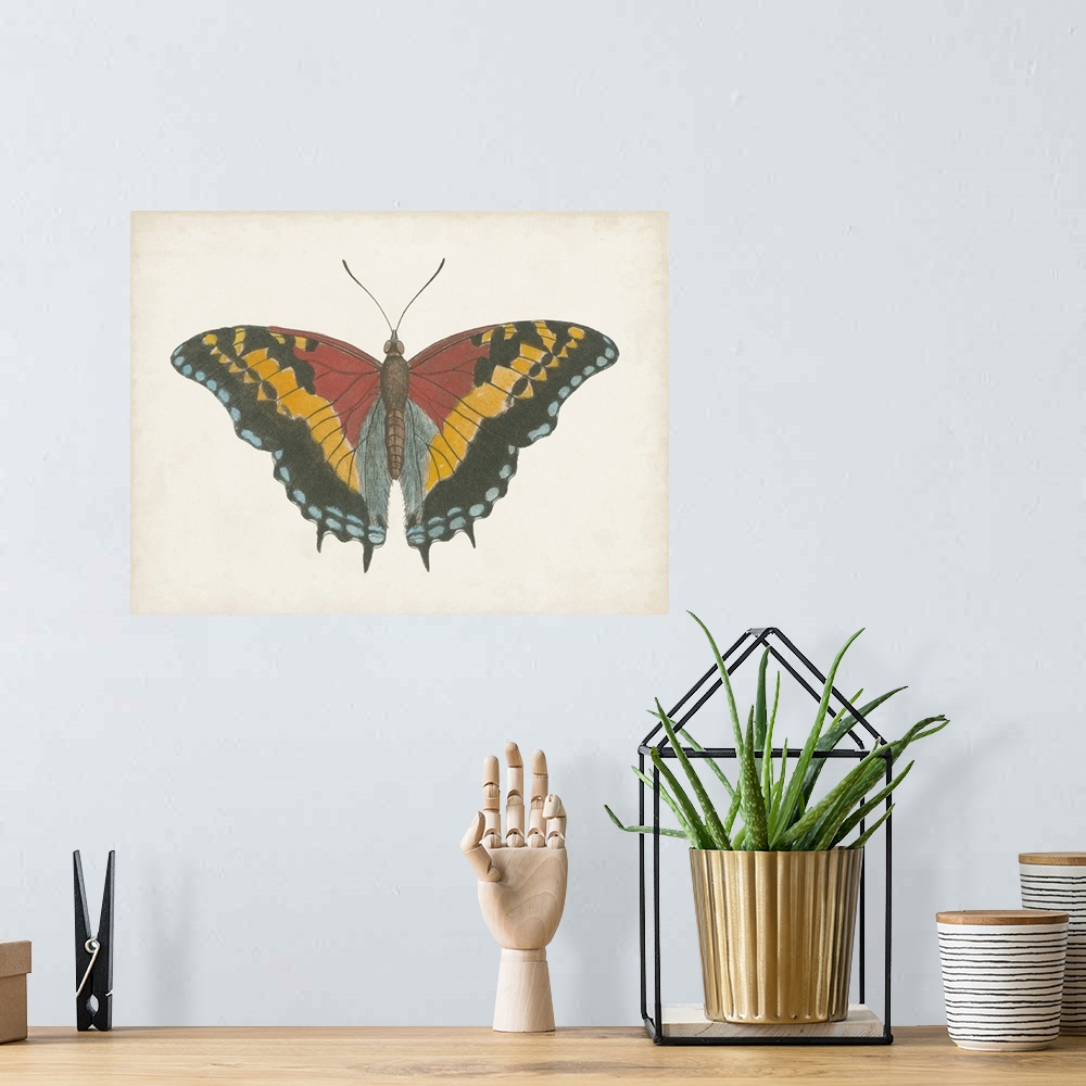 A bohemian room featuring Beautiful Butterfly IV