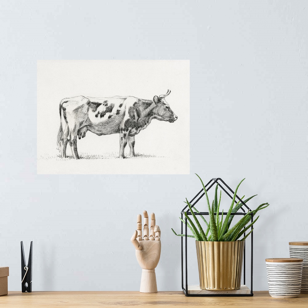 A bohemian room featuring Bernard Cow Sketch III