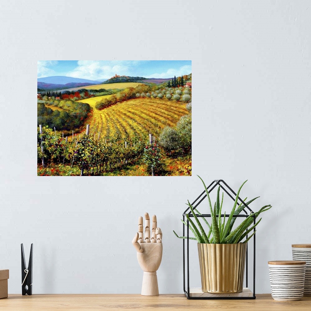 A bohemian room featuring Chianti Vineyards