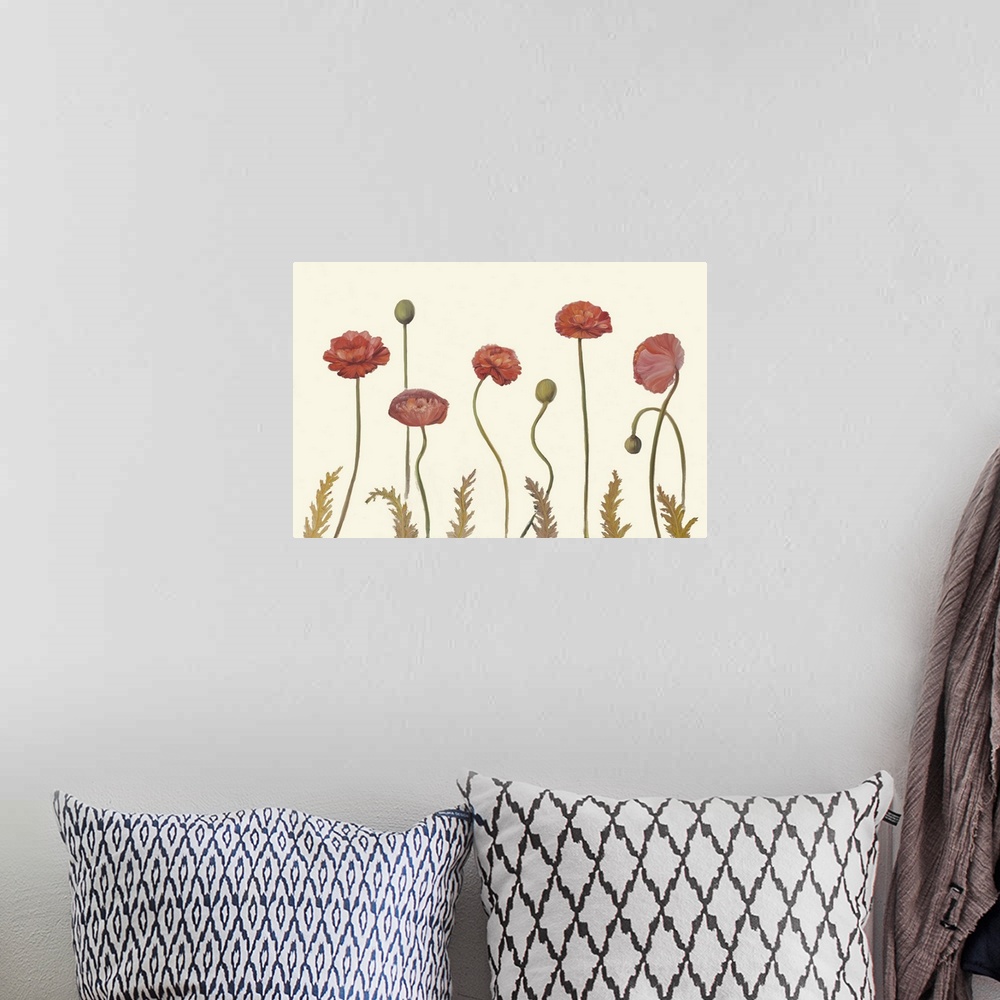 A bohemian room featuring Coral Poppy Display I