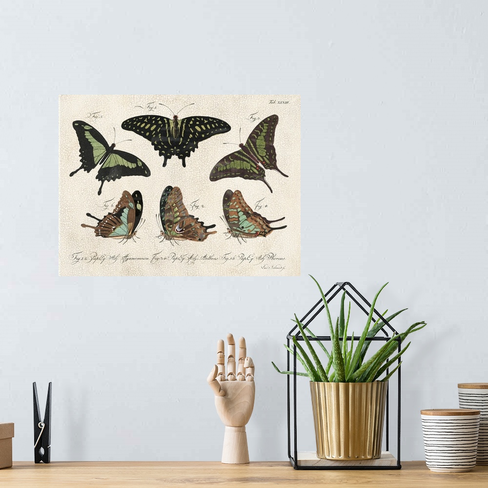 A bohemian room featuring Crackled Butterflies II